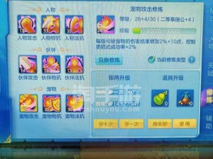 梦想世界3D风扬阵获取攻略：全面解析风扬阵获取方法与步骤