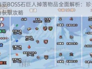 泰拉瑞亚BOSS石巨人掉落物品全面解析：珍贵物品一览与获取攻略