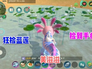 创造与魔法蓝莲精准刷新时刻揭秘：探寻神秘植物的生长周期奥秘