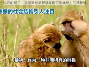 会说话的猴子：揭秘灵长类智慧与语言沟通能力的独特魅力