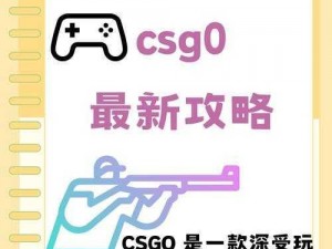 老阿姨CSGO比赛录像(如何评价老阿姨在 CSGO 比赛中的表现？)