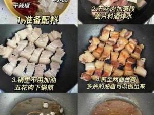 家常红烧肉制作全攻略：步骤详解，美味呈现