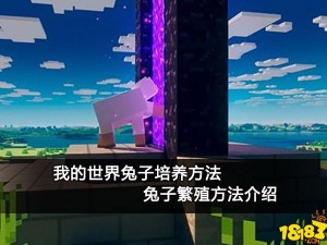 我的世界兔子驯服攻略：揭秘高效获取与驯服兔子的实用方法