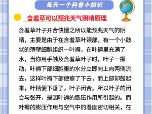 含羞草一直碰它为什么不会合上(为什么一直碰含羞草它也不会合上？)