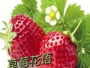 草莓视频深;草莓视频深：揭秘成人内容背后的秘密