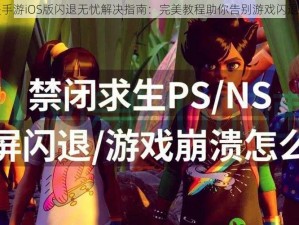 功夫手游iOS版闪退无忧解决指南：完美教程助你告别游戏闪退困扰