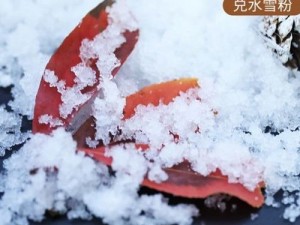 飘雪影院高清电影观看教程【飘雪影院高清电影怎么看？教你几招实用教程】