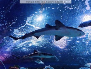 奇妙海洋展现：海底水族馆惊艳截图预览