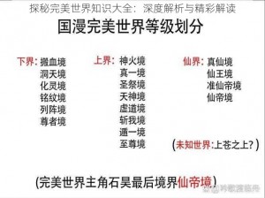 探秘完美世界知识大全：深度解析与精彩解读