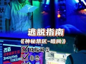 游戏主播揭秘暗夜危机：穿越危机迷雾，求生之夜沉浸式直播体验揭晓