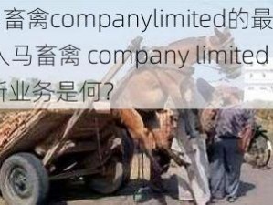 人马畜禽companylimited的最新业务;人马畜禽 company limited 最新业务是何？