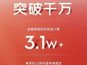 在线资源介绍：丰富的国产黑料，尽在 91 国产黑料在线资源