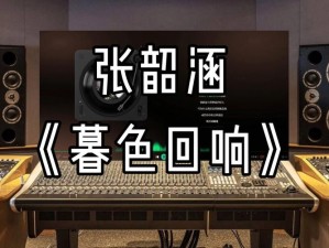 日本潮水 rapper 超多，超高品质音乐播放器等你来