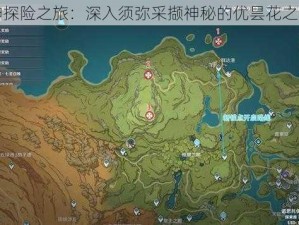 原神探险之旅：深入须弥采撷神秘的优昙花之道法