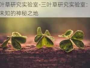 三叶草研究实验室-三叶草研究实验室：探索未知的神秘之地