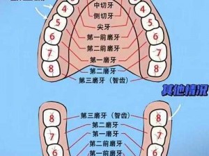 成人拔牙后还能再长吗,成人拔牙后还能再长吗？