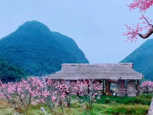 三生三世十里桃花胜景探秘：古今交融的浪漫桃源之旅