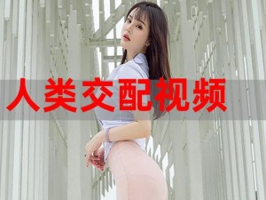 女free性ZoZO交体内吊类、：女 free 性 ZoZO 交体内吊类，你了解多少？