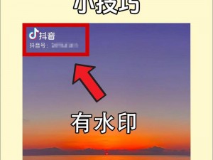 抖音去水印解析网址实用指南：解析下载无水印视频的方法与技巧