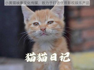 小黄猫映象文化传媒，致力于打造优质影视娱乐产品