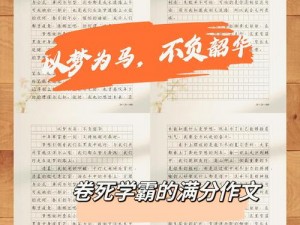 青春追梦序章：甄浪与成长的序曲勇者无惧风波之路