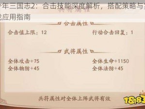 少年三国志2：合击技能深度解析，搭配策略与实战应用指南