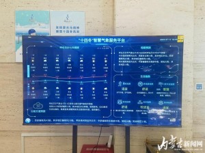 代号生机天气系统揭秘：智能预测、精准应对，引领未来生活新气象