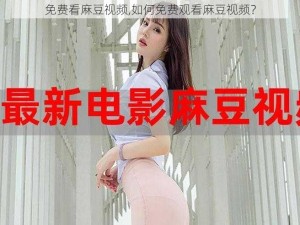 免费看麻豆视频,如何免费观看麻豆视频？