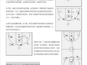 街头篮球技巧解析：Q挡进阶攻略全解析