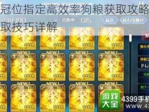 命运冠位指定高效率狗粮获取攻略：快速刷取技巧详解