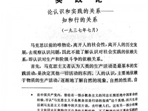 M的规矩与实践、M 的规矩与实践：从理论到实践的探索