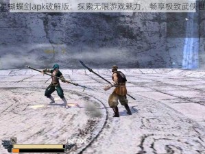 流星蝴蝶剑apk破解版：探索无限游戏魅力，畅享极致武侠世界