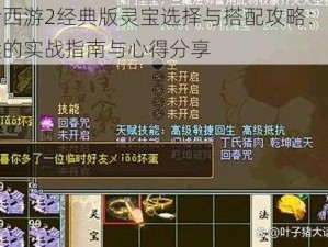 大话西游2经典版灵宝选择与搭配攻略：玩家必读的实战指南与心得分享