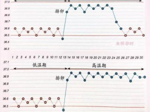 人在低温环境下体温会有何种变化：低温与体温升高的奥秘探索