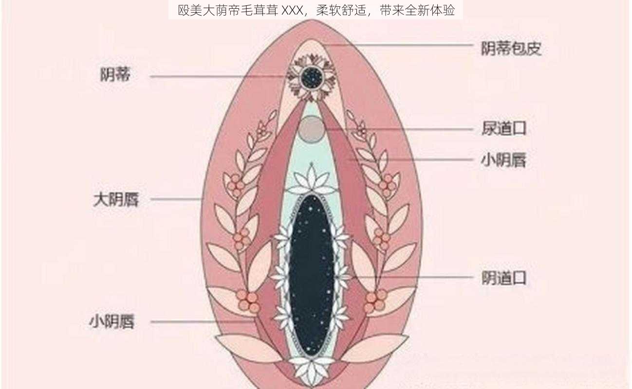 殴美大荫帝毛茸茸 XXX，柔软舒适，带来全新体验