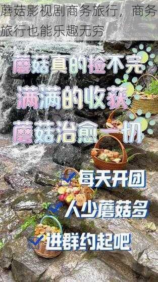 蘑菇影视剧商务旅行，商务旅行也能乐趣无穷