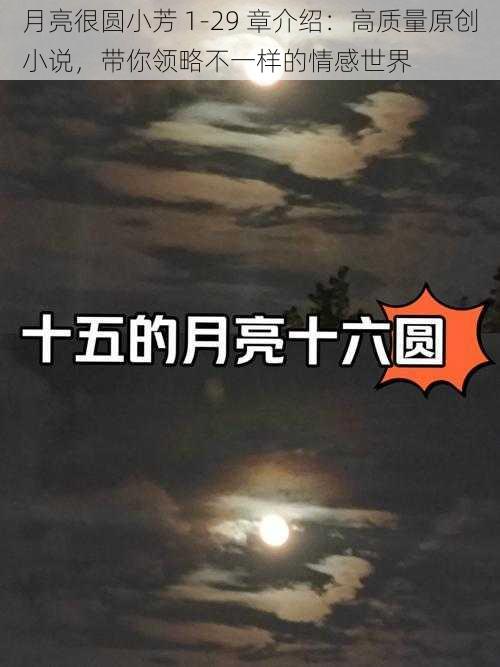 月亮很圆小芳 1-29 章介绍：高质量原创小说，带你领略不一样的情感世界