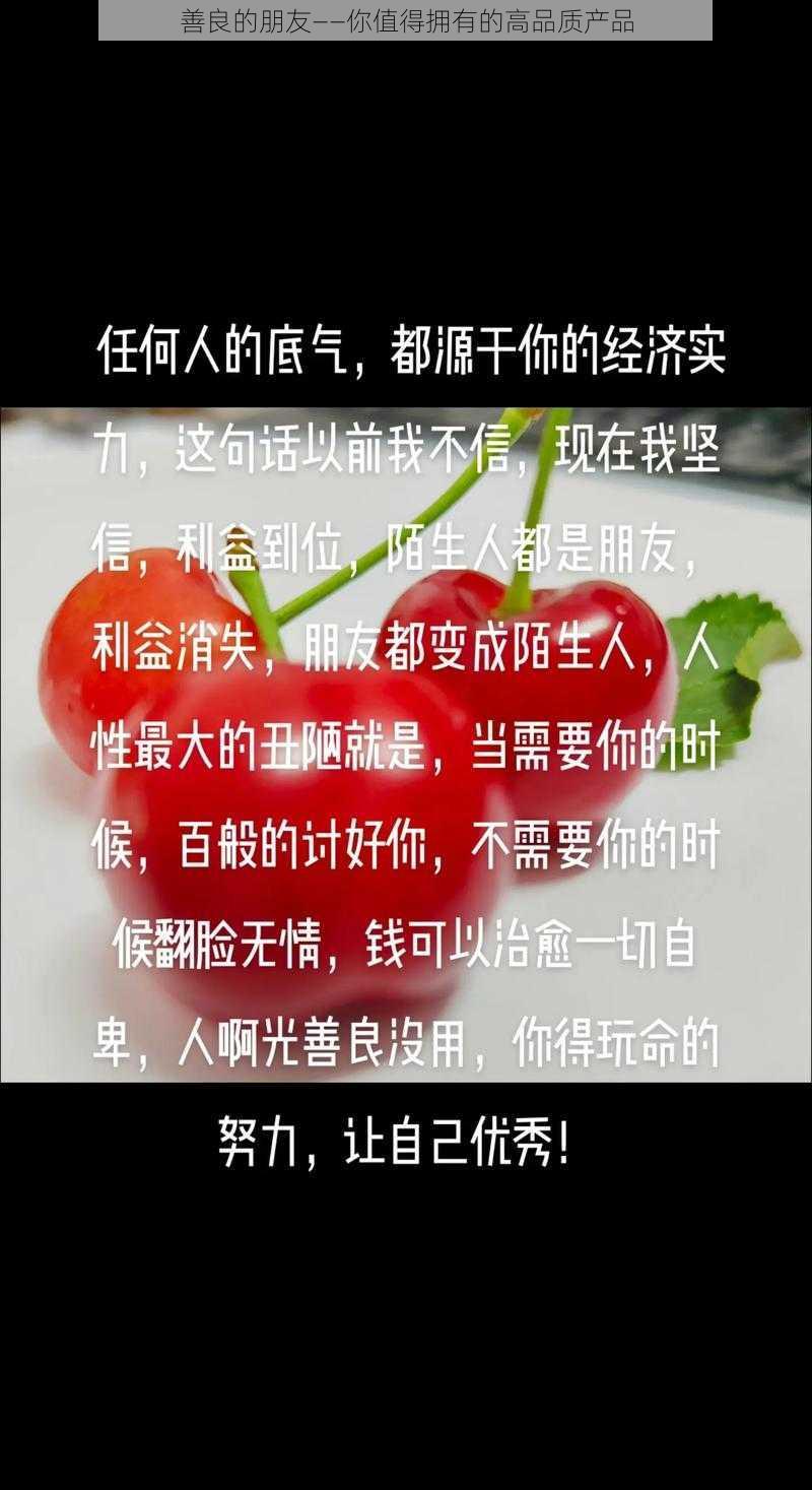 善良的朋友——你值得拥有的高品质产品