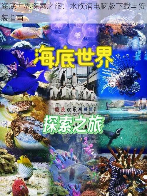 海底世界探索之旅：水族馆电脑版下载与安装指南