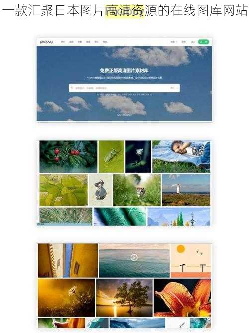 一款汇聚日本图片高清资源的在线图库网站