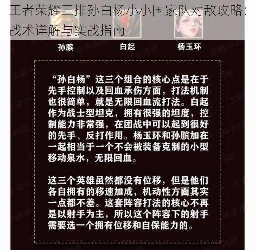 王者荣耀三排孙白杨小小国家队对敌攻略：战术详解与实战指南