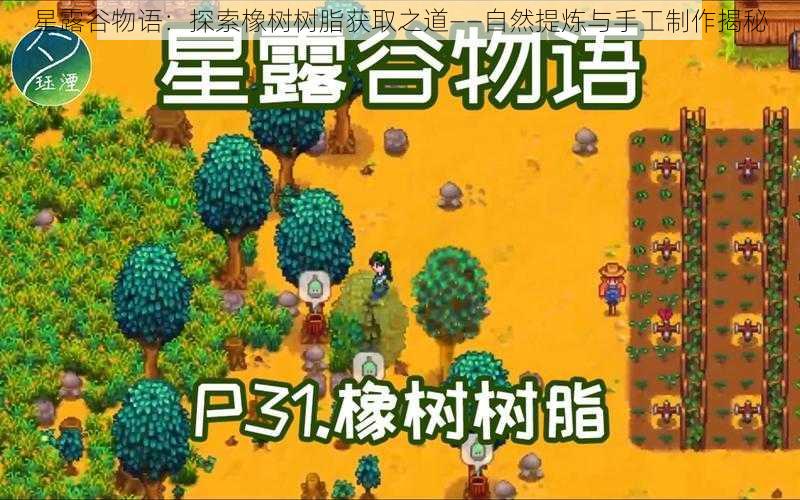 星露谷物语：探索橡树树脂获取之道——自然提炼与手工制作揭秘