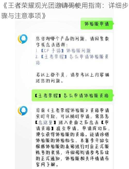 《王者荣耀观光团邀请码使用指南：详细步骤与注意事项》