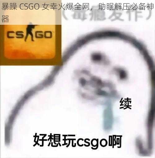 暴躁 CSGO 女幸火爆全网，助眠解压必备神器