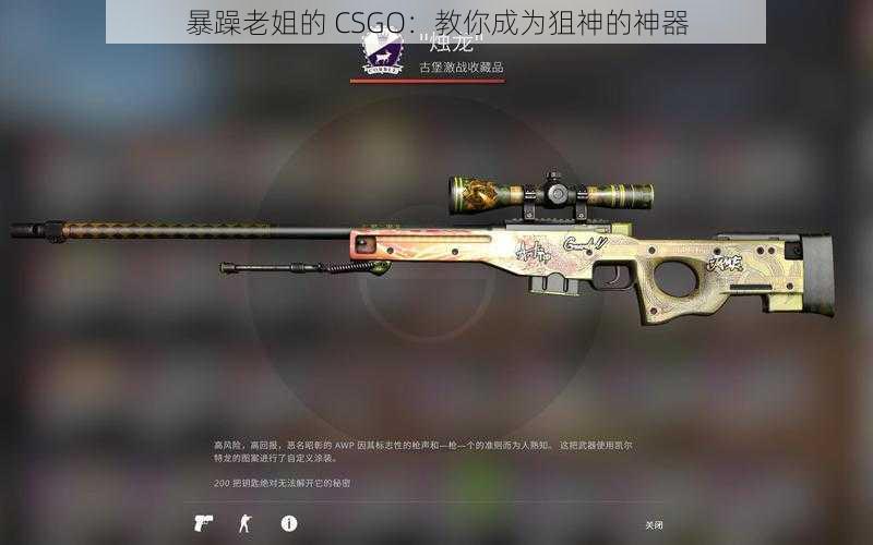 暴躁老姐的 CSGO：教你成为狙神的神器