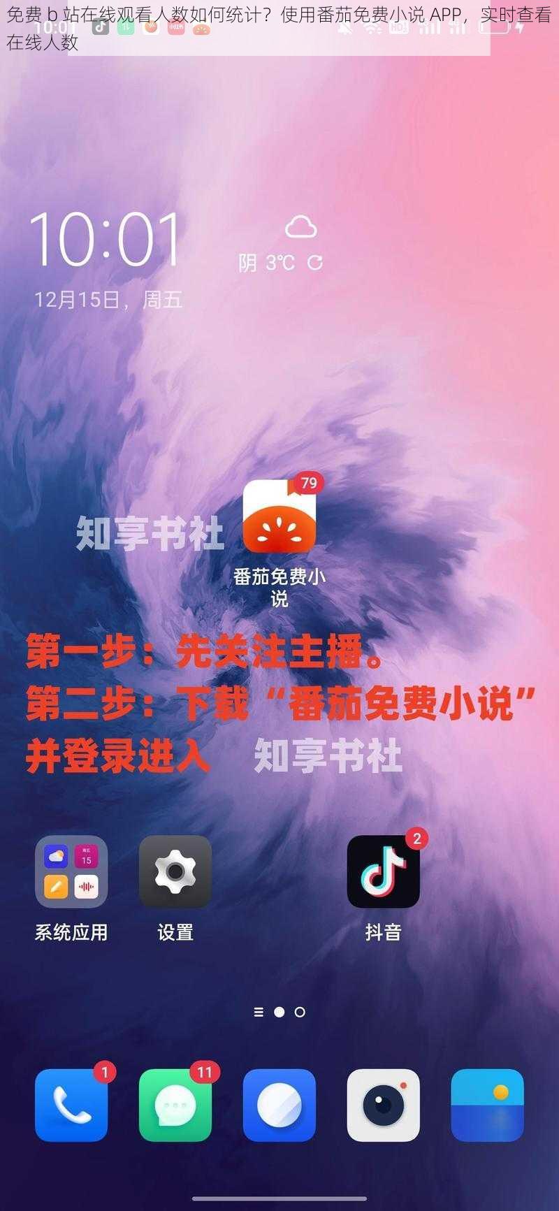 免费 b 站在线观看人数如何统计？使用番茄免费小说 APP，实时查看在线人数