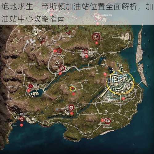 绝地求生：帝斯顿加油站位置全面解析，加油站中心攻略指南