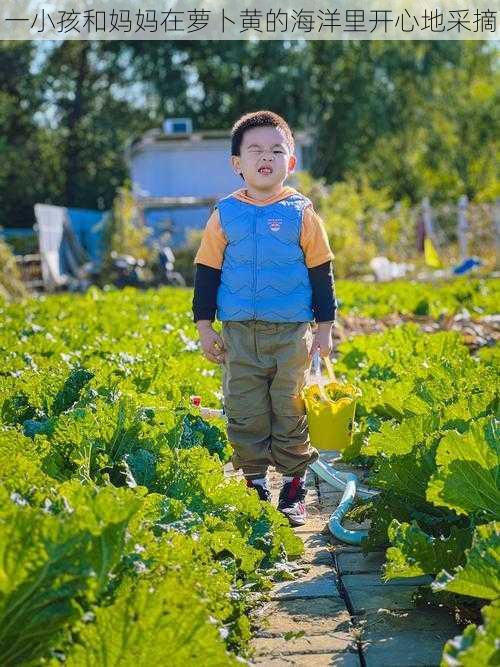 一小孩和妈妈在萝卜黄的海洋里开心地采摘