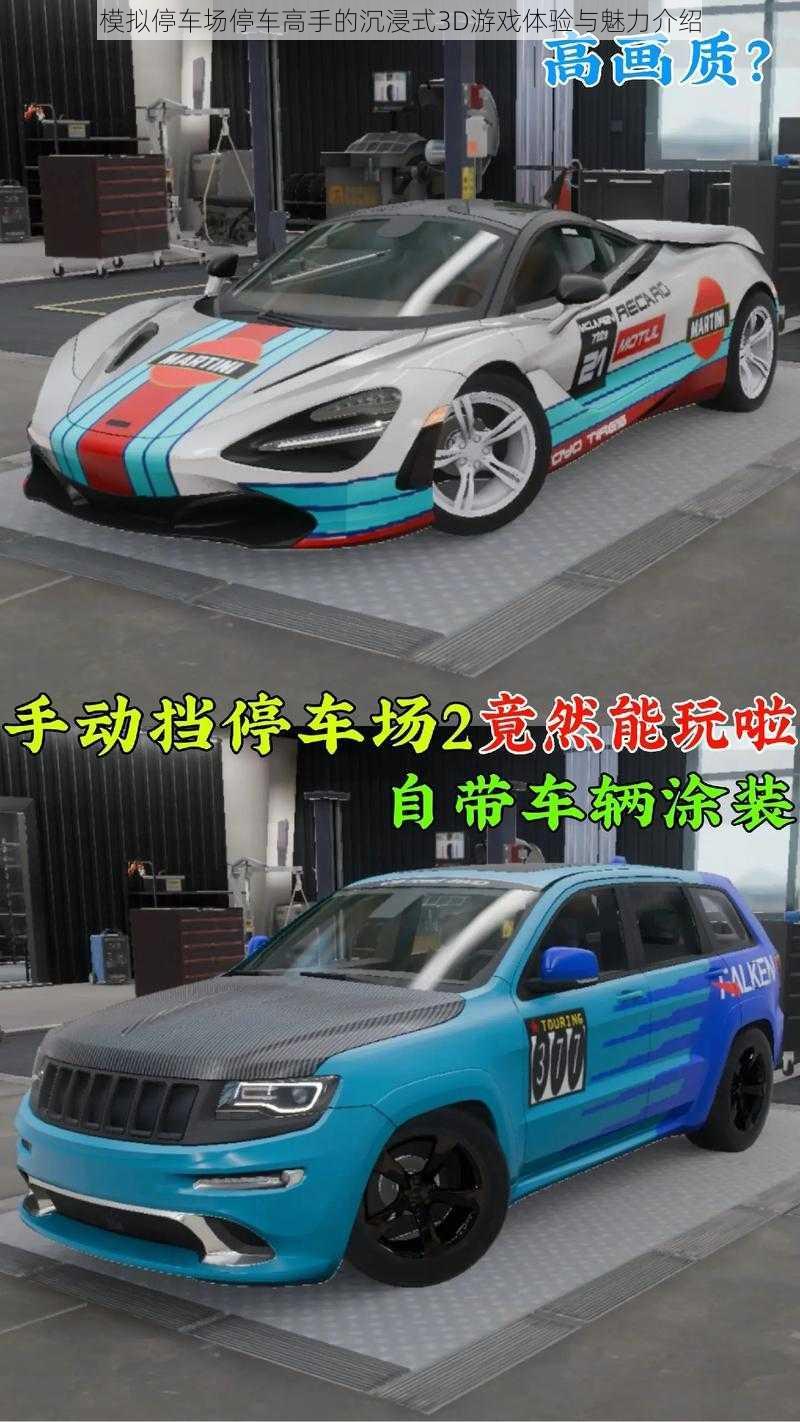 模拟停车场停车高手的沉浸式3D游戏体验与魅力介绍