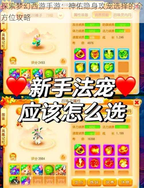 探索梦幻西游手游：神佑隐身攻宠选择的全方位攻略